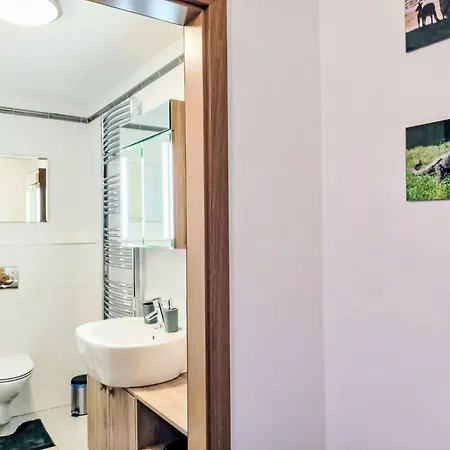Resident A By Interhome Appartement Harrachov