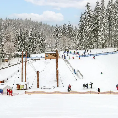 Resident A By Interhome * Harrachov